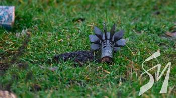 ������ ������ ��������� ���� � ����������� �����������