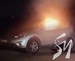 � ��� 䳺 ��������� ������: ������� ������ ������ ������� ���������