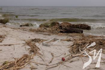 ����� �������� �� ������������� ������� �������� ������ ��������� ��� ������� 16