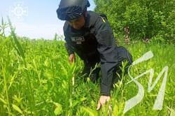 �� ������� �� �����������  ������ ���� ���������� 26 ���������