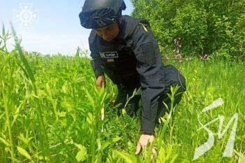 �� ������� �� �����������  ������ ���� ���������� 26 ���������