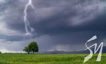 �� ����������� �������� ������, ��������� �������� ������������