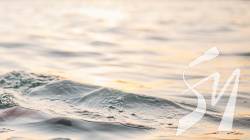 � ���� ������� �������� ��������� ������ ��� ������� �������