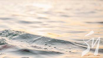 � ���� ������� �������� ��������� ������ ��� ������� �������