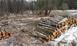 �� ����������� ������� ��������� ������� ��� �� ����� 4 ������� �������