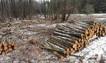 �� ����������� ������� ��������� ������� ��� �� ����� 4 ������� �������