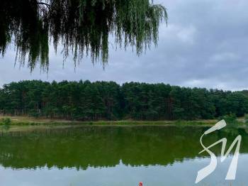 ���� ��������� ����������� ��������� ������ � �������: �������� ���������� �� ��������������