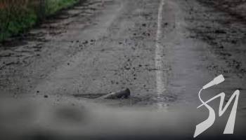 6 ������ ������� �������� �������� 30 ������� ����������