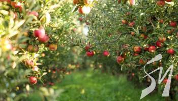 �� ����������� �������� ��������� ������ ������ ����� ��������� ��������