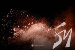 ������� �����������: �� ���� ����������� ����� 100 �������, � ����������