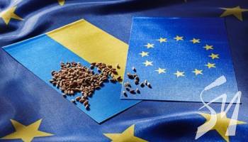 ������ ���������� ����� �� ������������ �������� ���������� �� �� - ���������