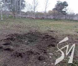 ����������� 519 �������: ������ �� ������� 60 ���� ��������� �����������