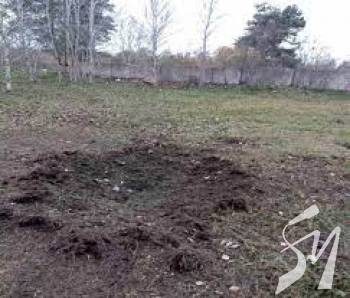 ����������� 519 �������: ������ �� ������� 60 ���� ��������� �����������