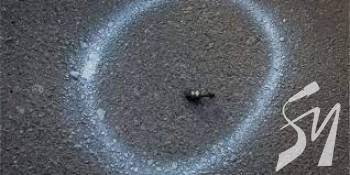 ����� ������. � ������� ������ ���������� �������� �������, �����, ����� �� ��'��� �������������