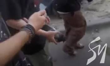 � �������� ������ ������� ���������� ������ ���� ������, ���� �������� ��� ������