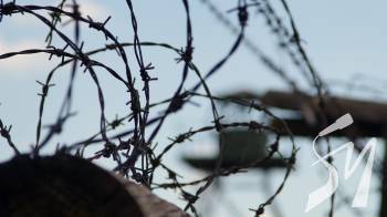 � ������ ���������� 16 ��� �� ���������� �� ������� ���