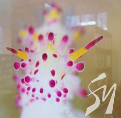 �������� ��. ����