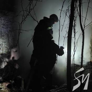 �� ������� ����� ������������� ������ �� �������� �������� �� �����������