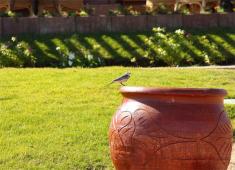 ��� ����