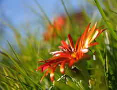 �� �����