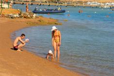 ѳ������ ���������