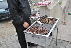 ������� ������� ���� �� ������ �� ��������